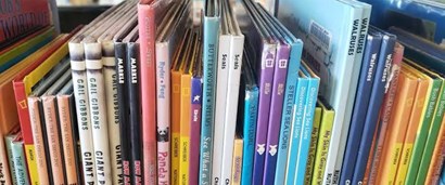 Picture books lined up with spines showing